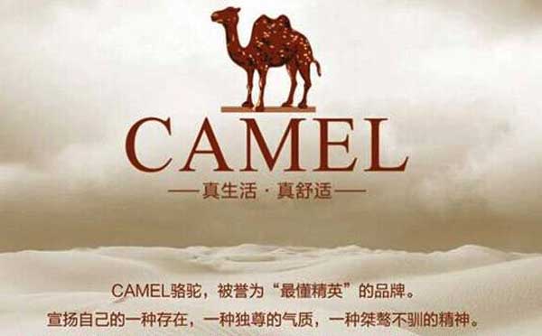 駱駝官方商城小程序躋身小程序網(wǎng)購(gòu)排行榜TOP30