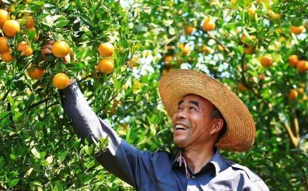 微信小程序如何解決農(nóng)產(chǎn)品供需矛盾？